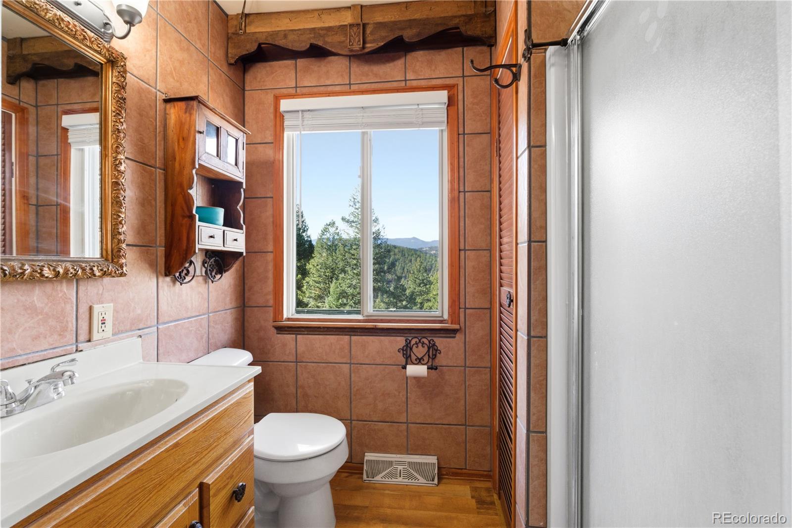 243 Hi Meadow Drive Bailey CO 80421