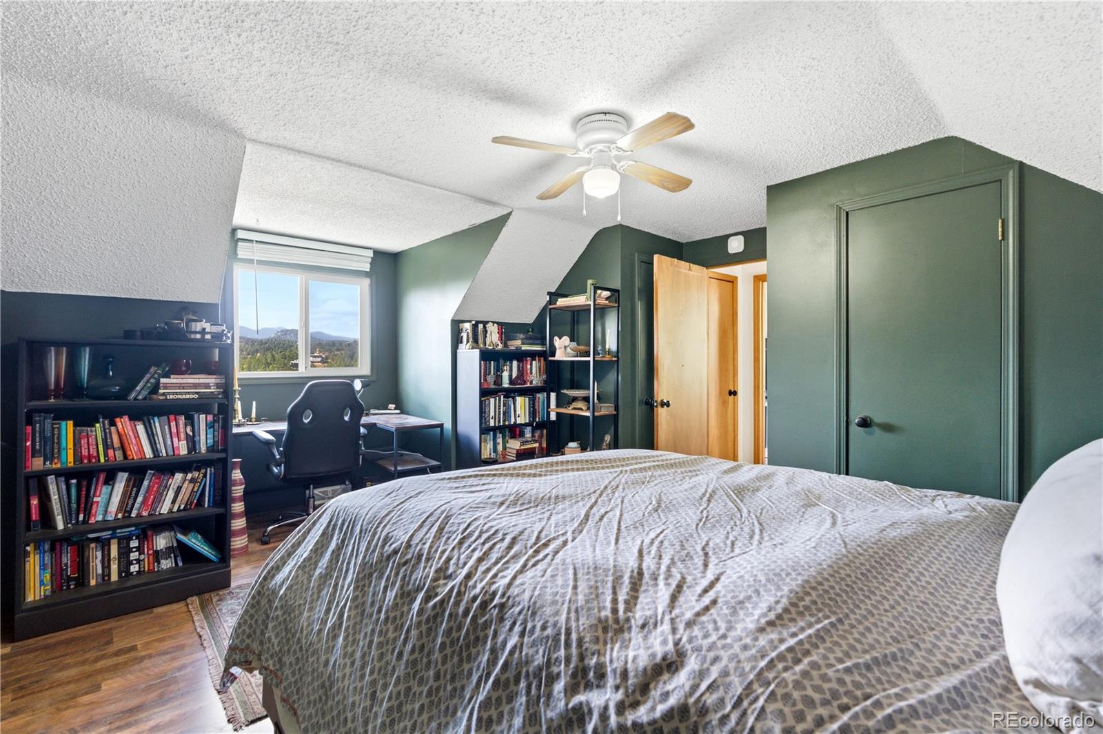 243 Hi Meadow Drive Bailey CO 80421