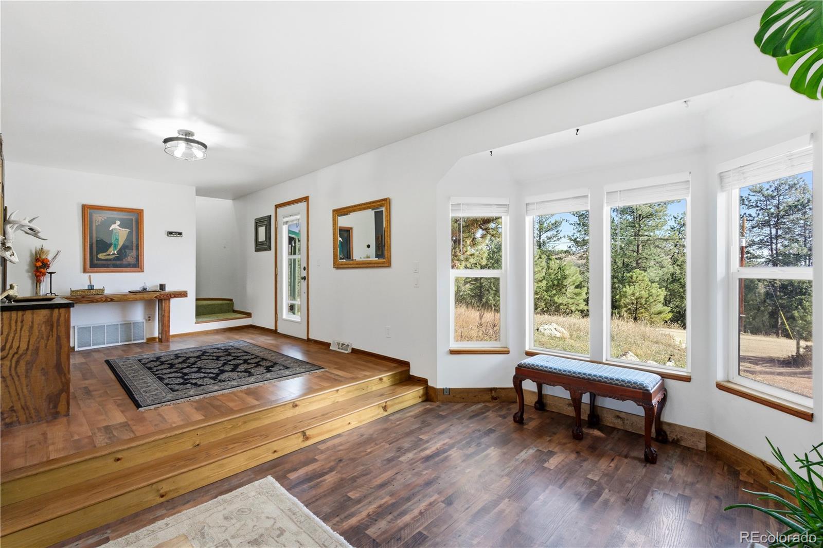 243 Hi Meadow Drive Bailey CO 80421