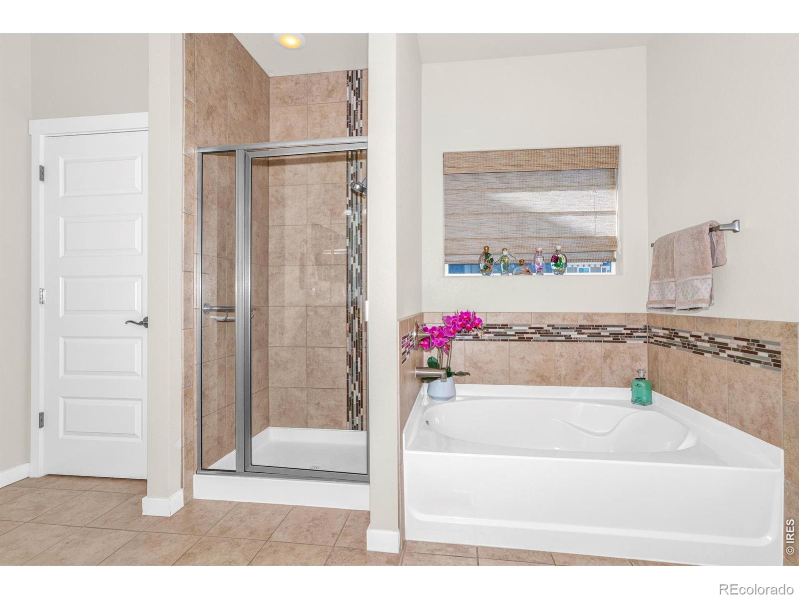 905 Volans Drive Loveland CO 80537