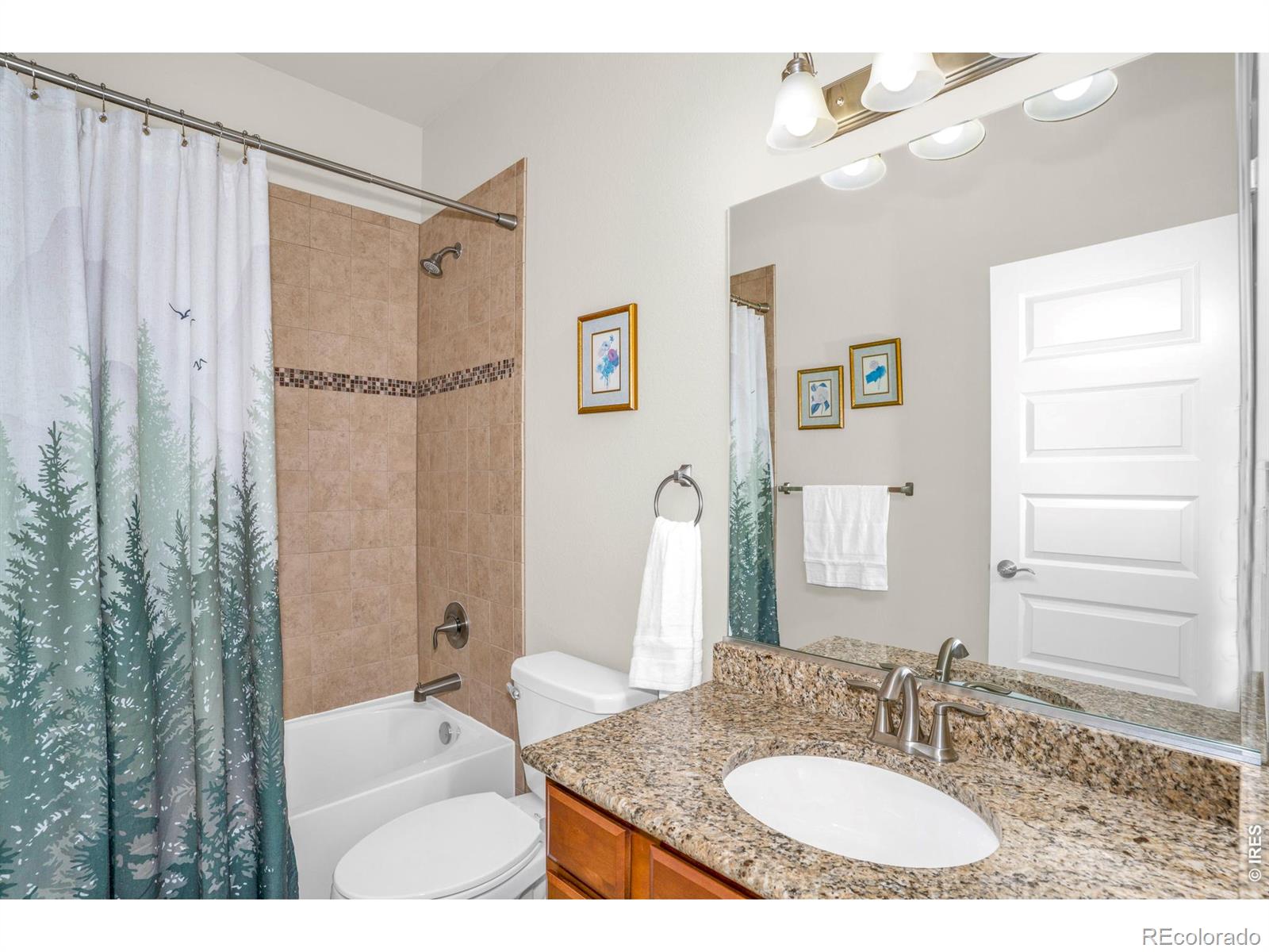 905 Volans Drive Loveland CO 80537
