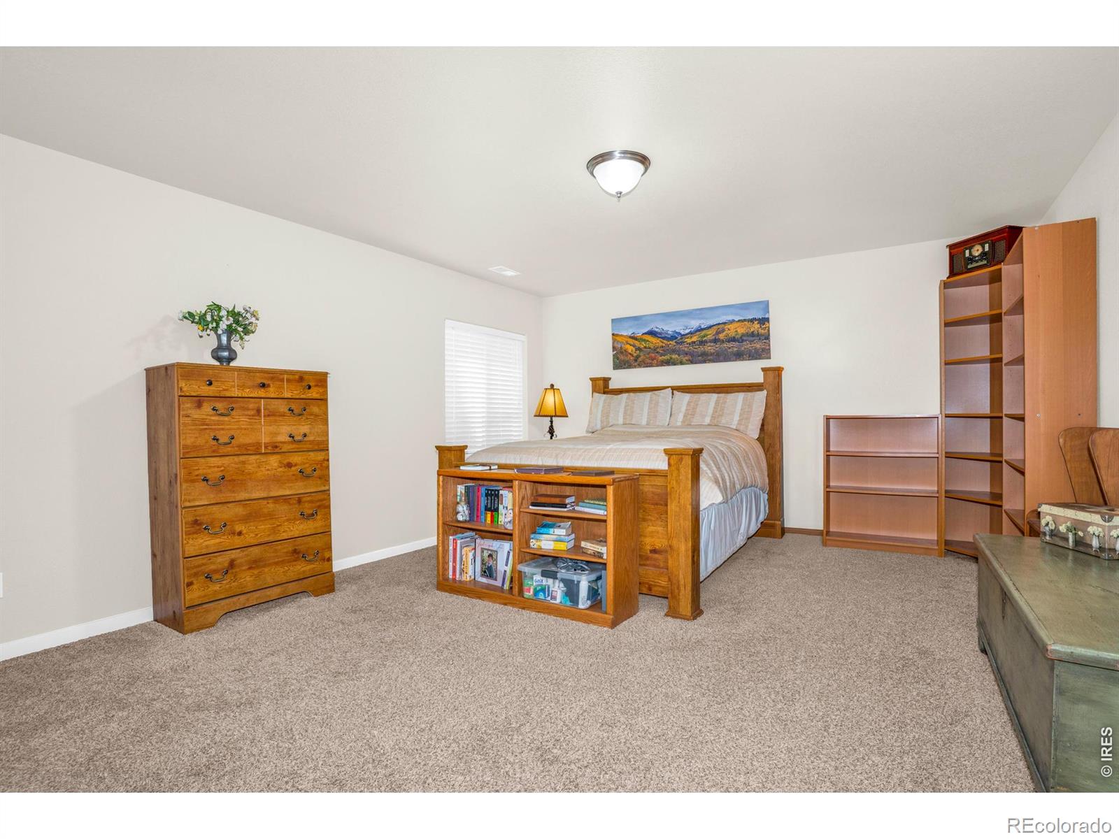905 Volans Drive Loveland CO 80537