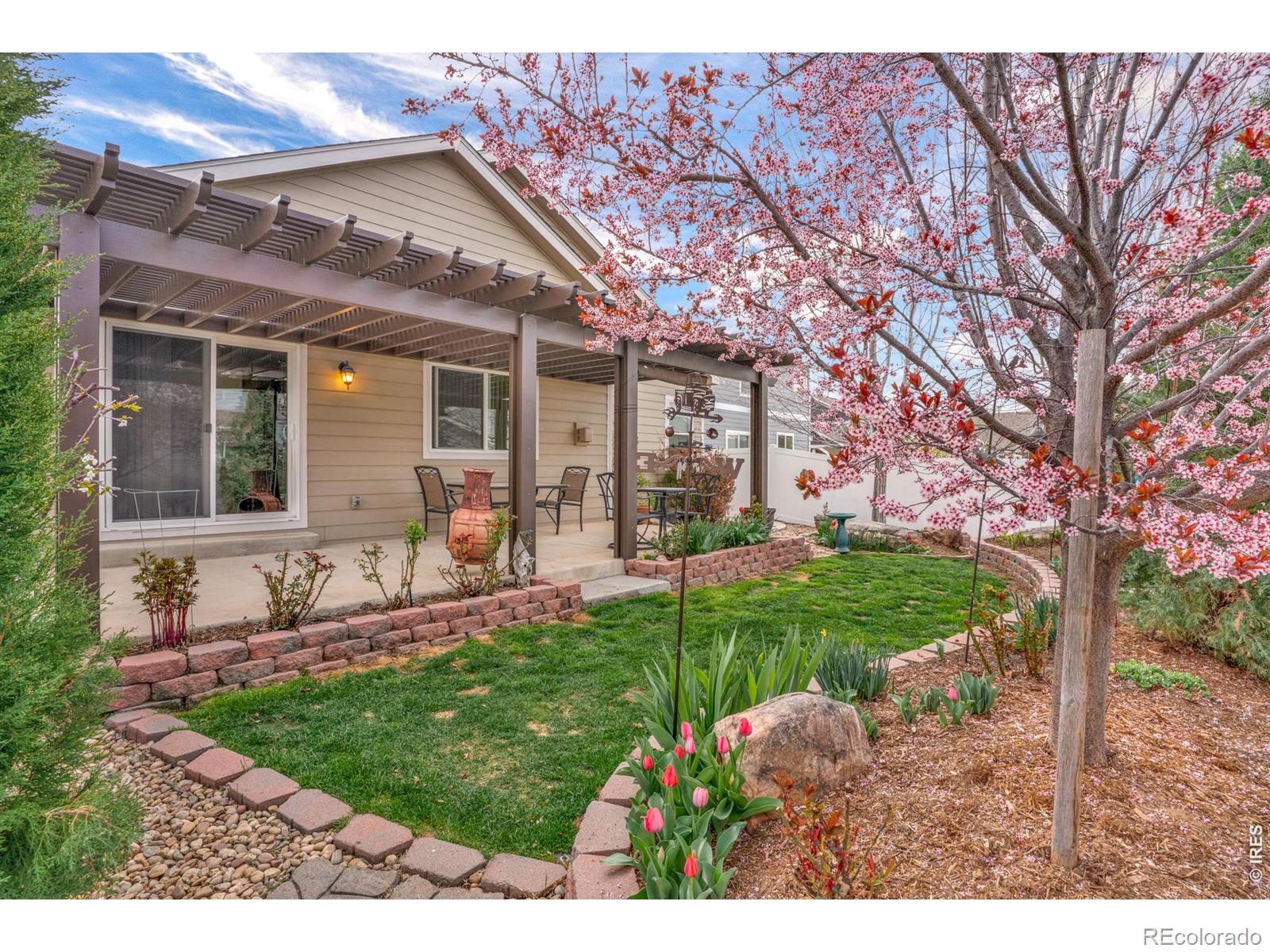 905 Volans Drive Loveland CO 80537