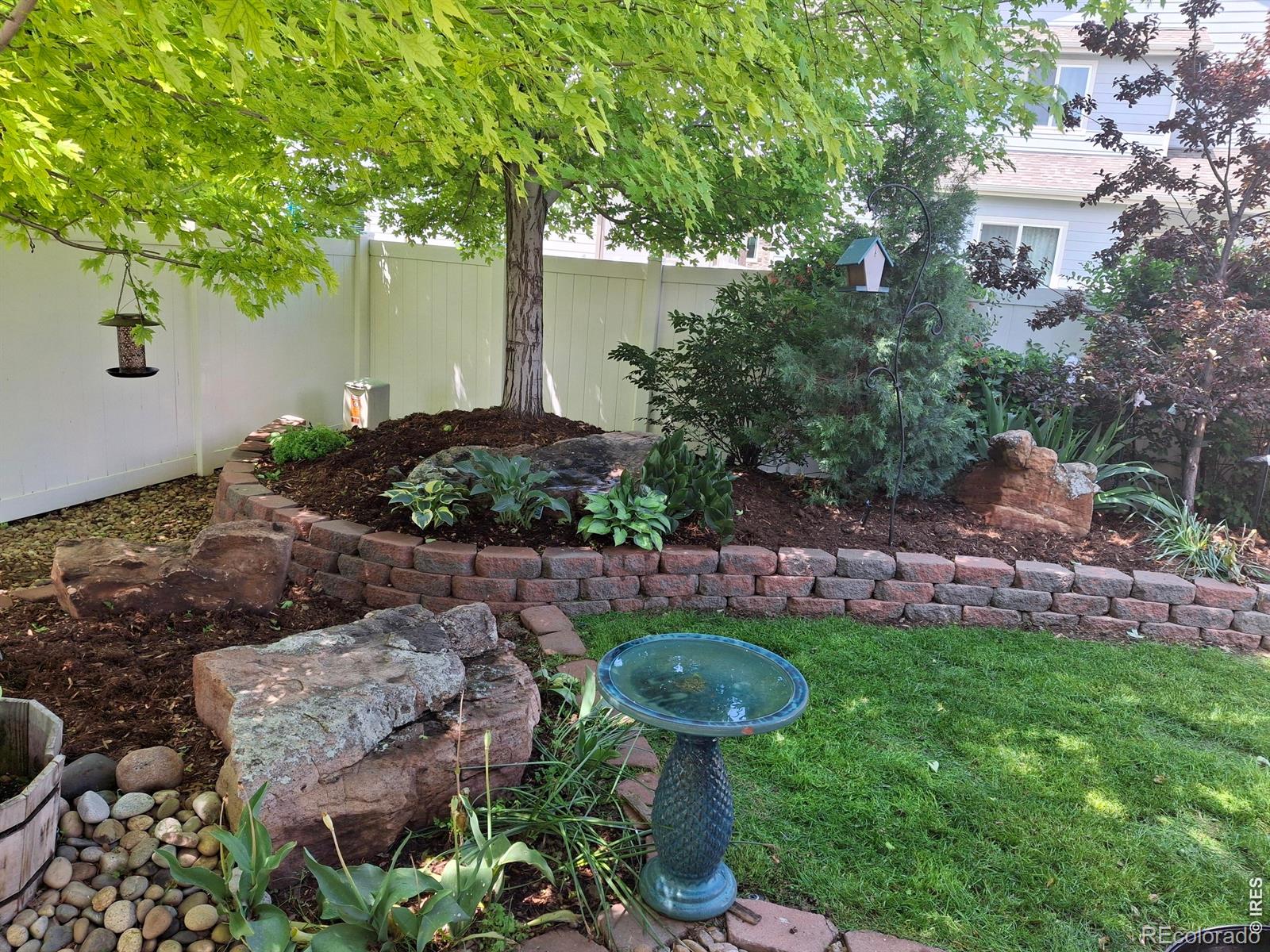 905 Volans Drive Loveland CO 80537