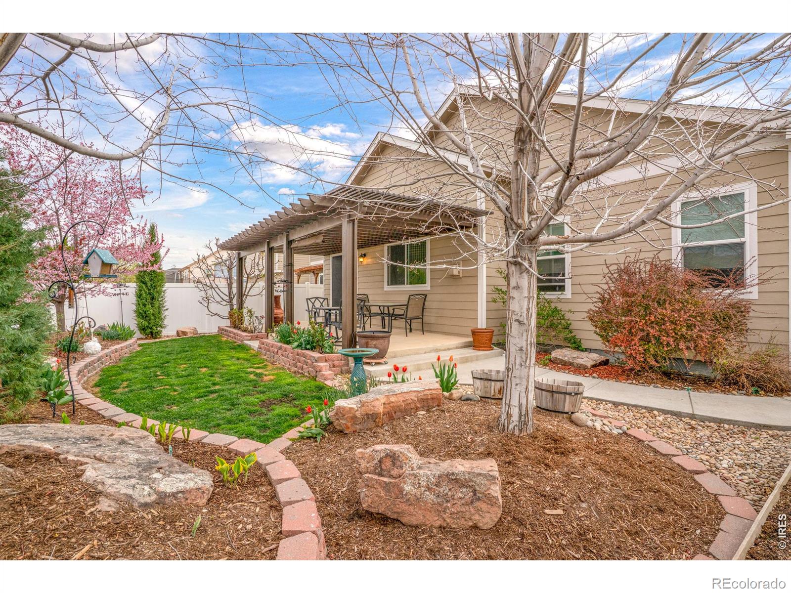 905 Volans Drive Loveland CO 80537