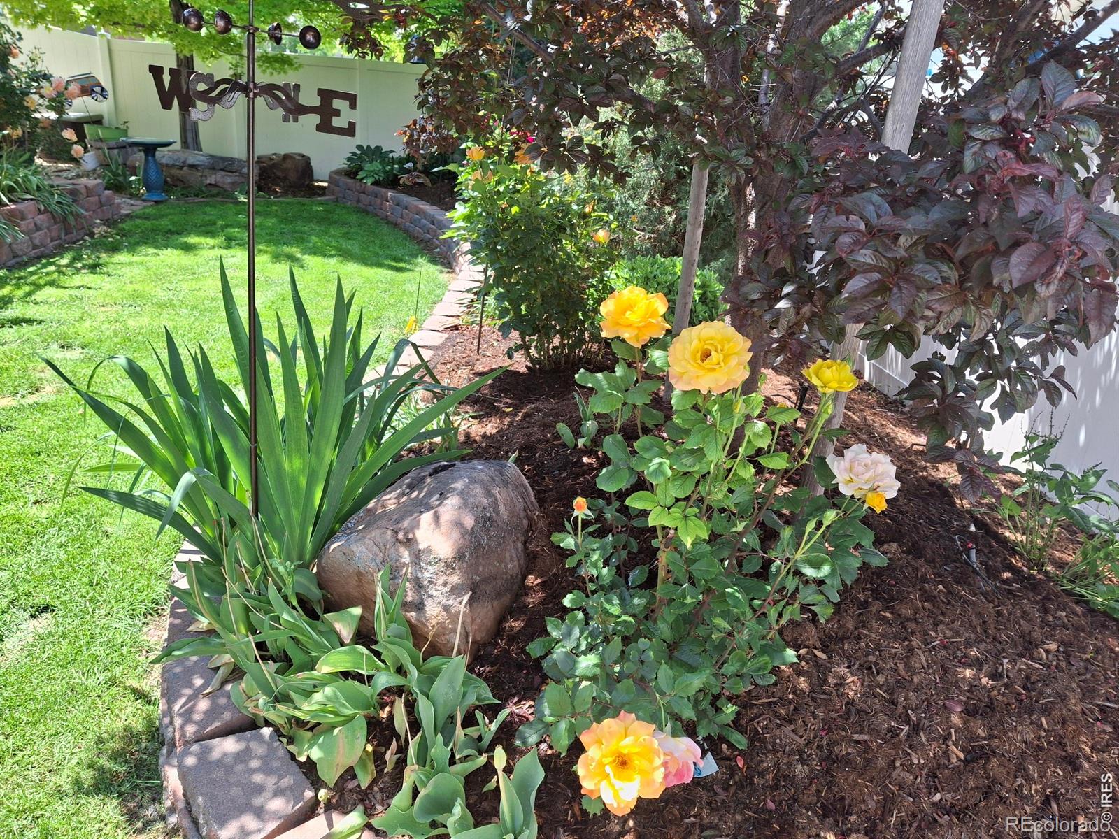 905 Volans Drive Loveland CO 80537
