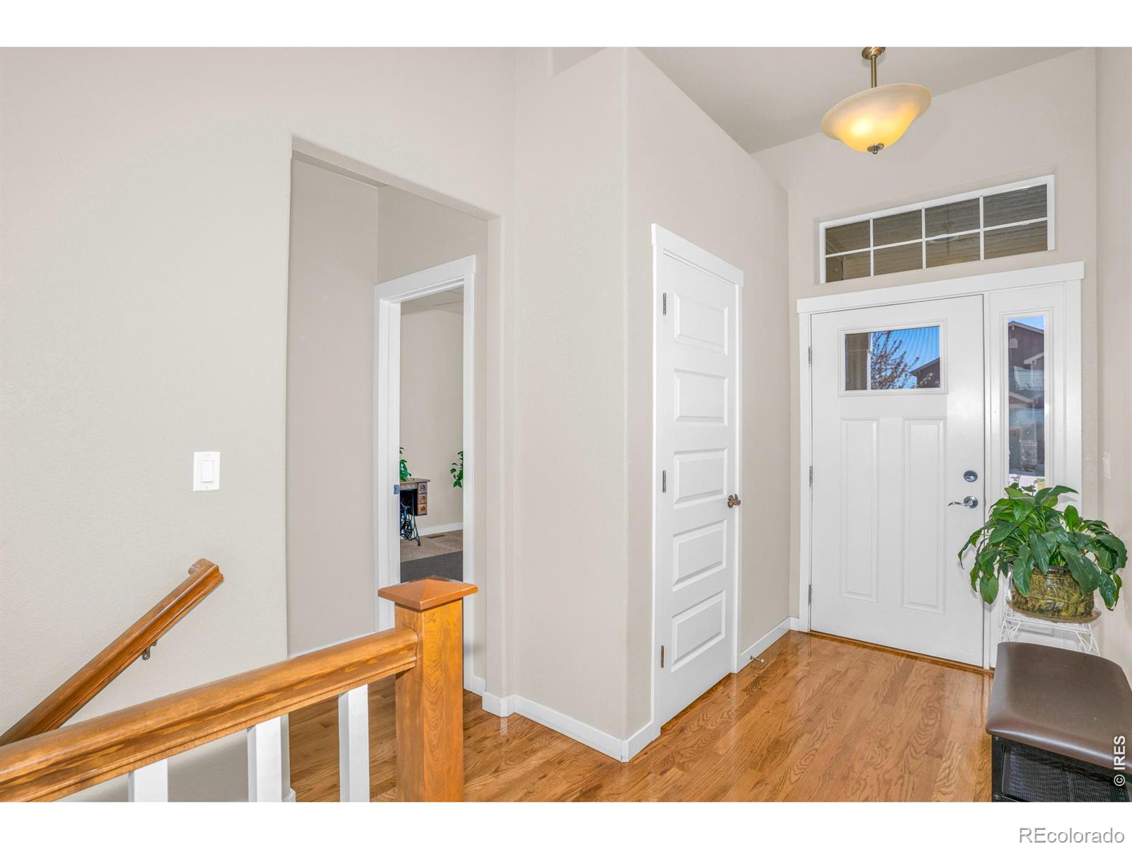 905 Volans Drive Loveland CO 80537