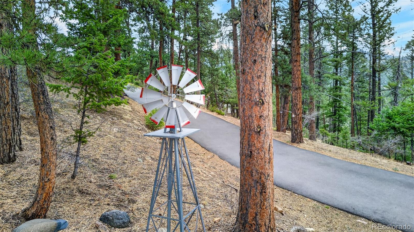 11994 Cochise Circle Conifer CO 80433
