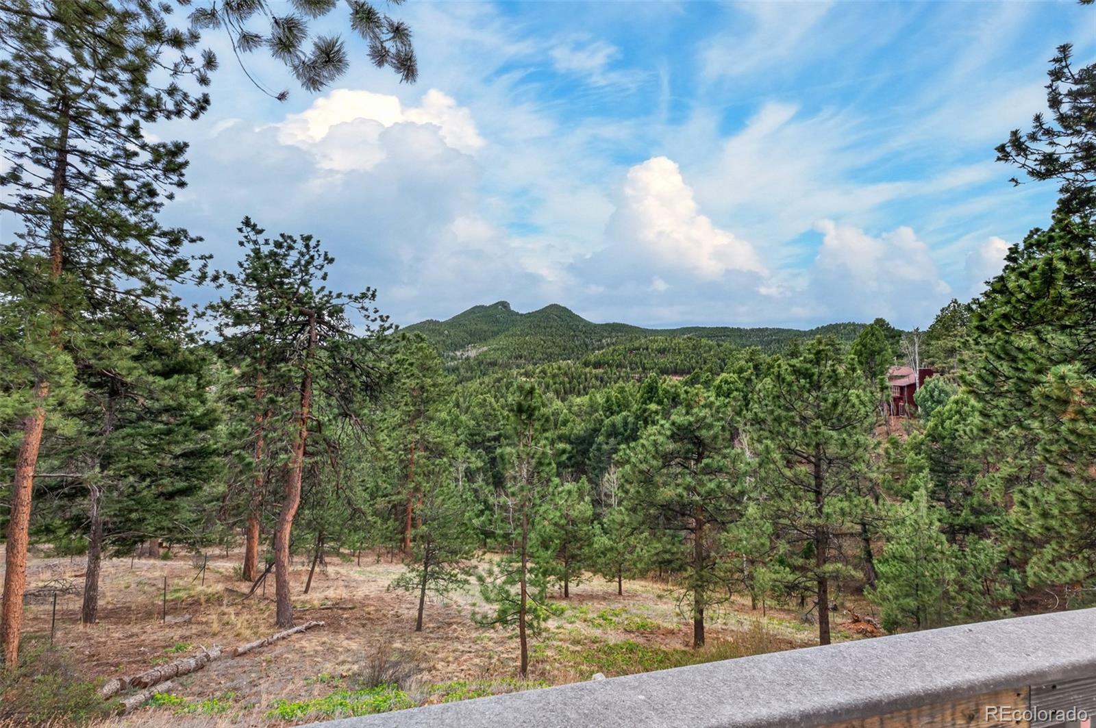 11994 Cochise Circle Conifer CO 80433