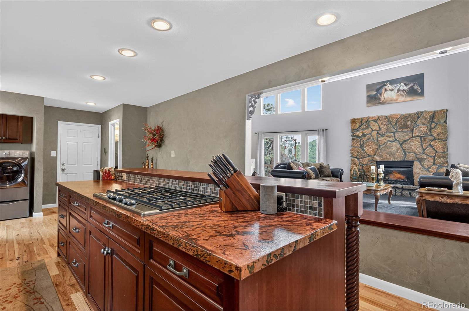 11994 Cochise Circle Conifer CO 80433