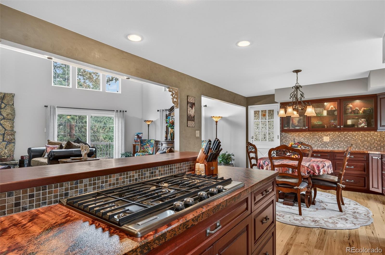 11994 Cochise Circle Conifer CO 80433