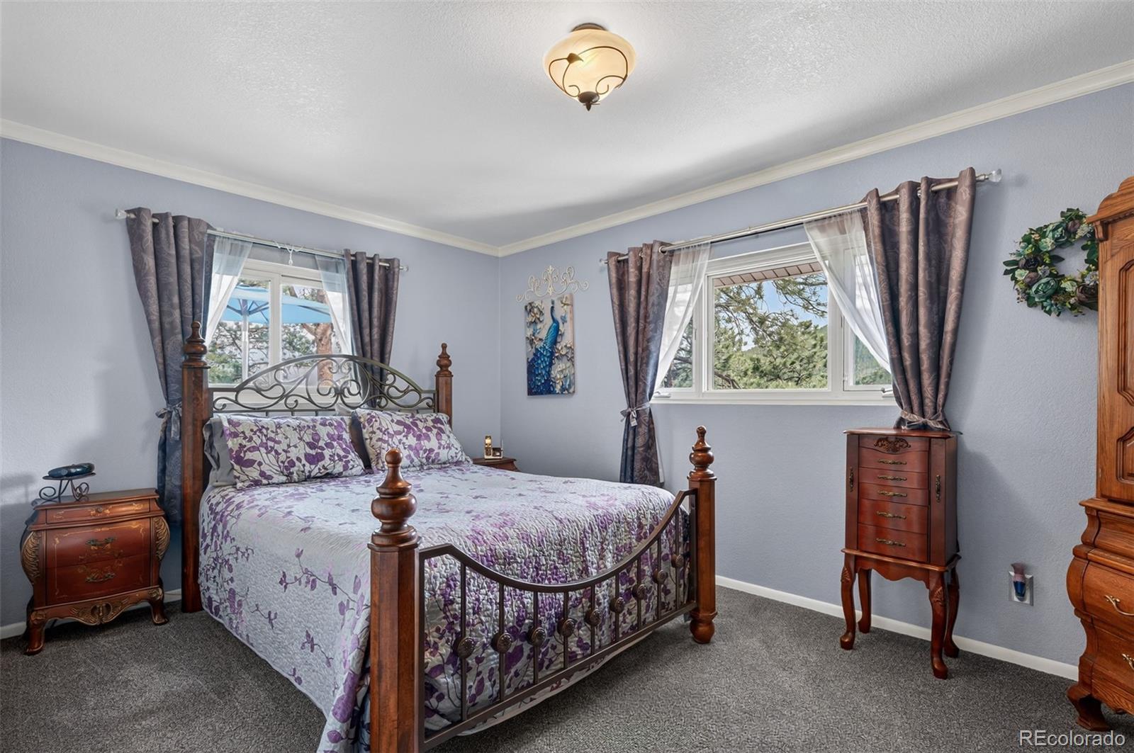 11994 Cochise Circle Conifer CO 80433