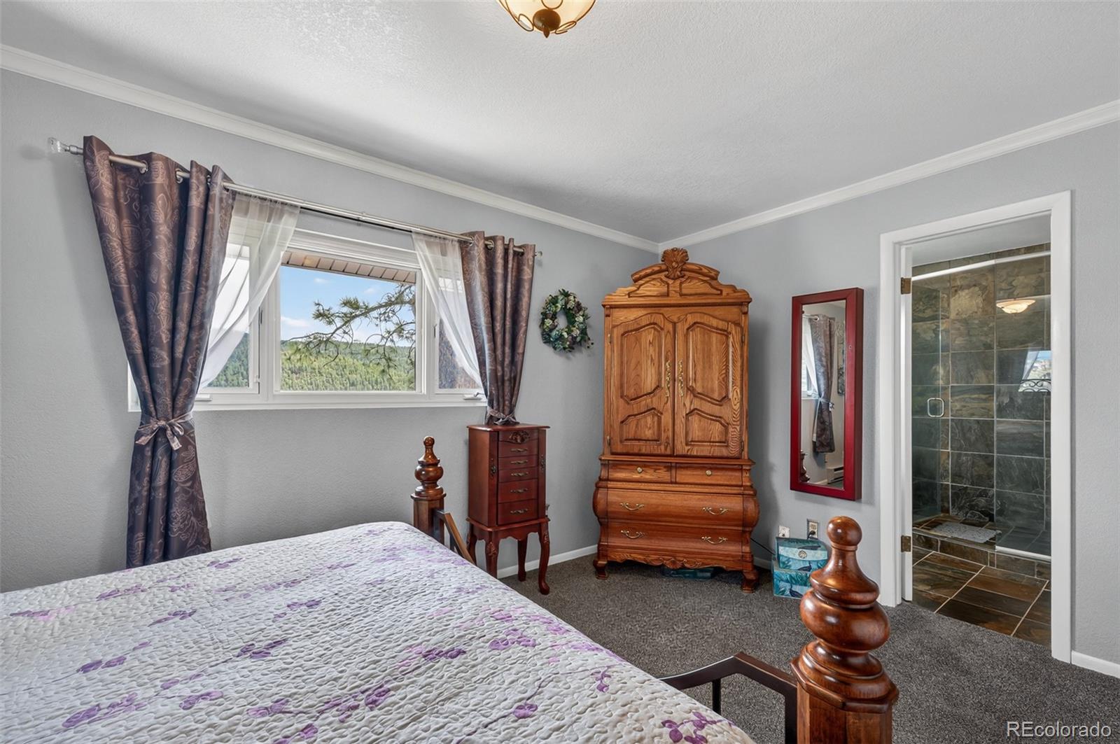 11994 Cochise Circle Conifer CO 80433