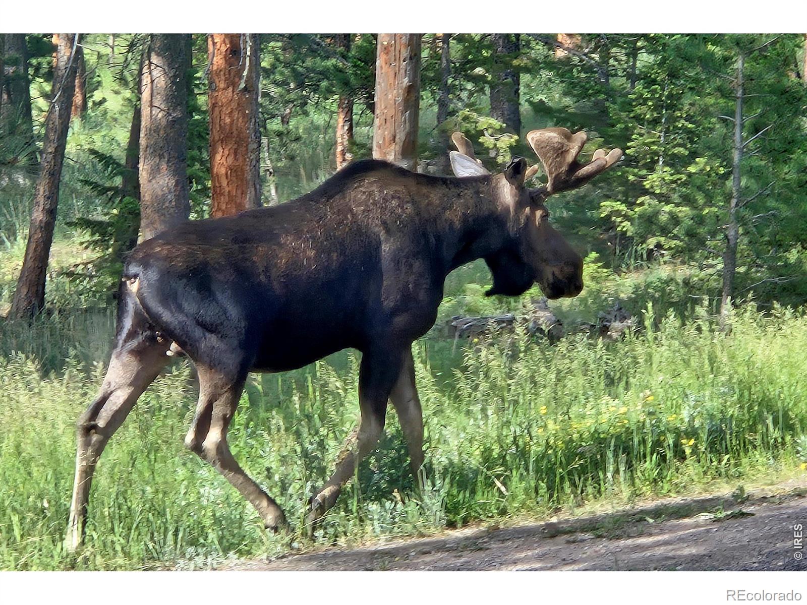 18673 State Highway 7 Lyons CO 80540