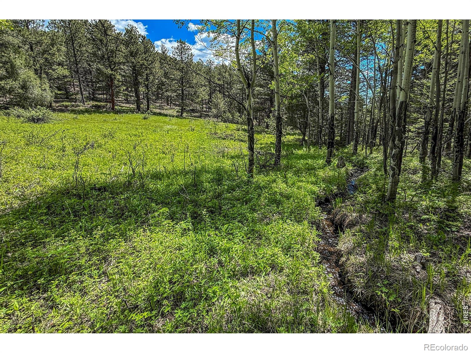 18673 State Highway 7 Lyons CO 80540