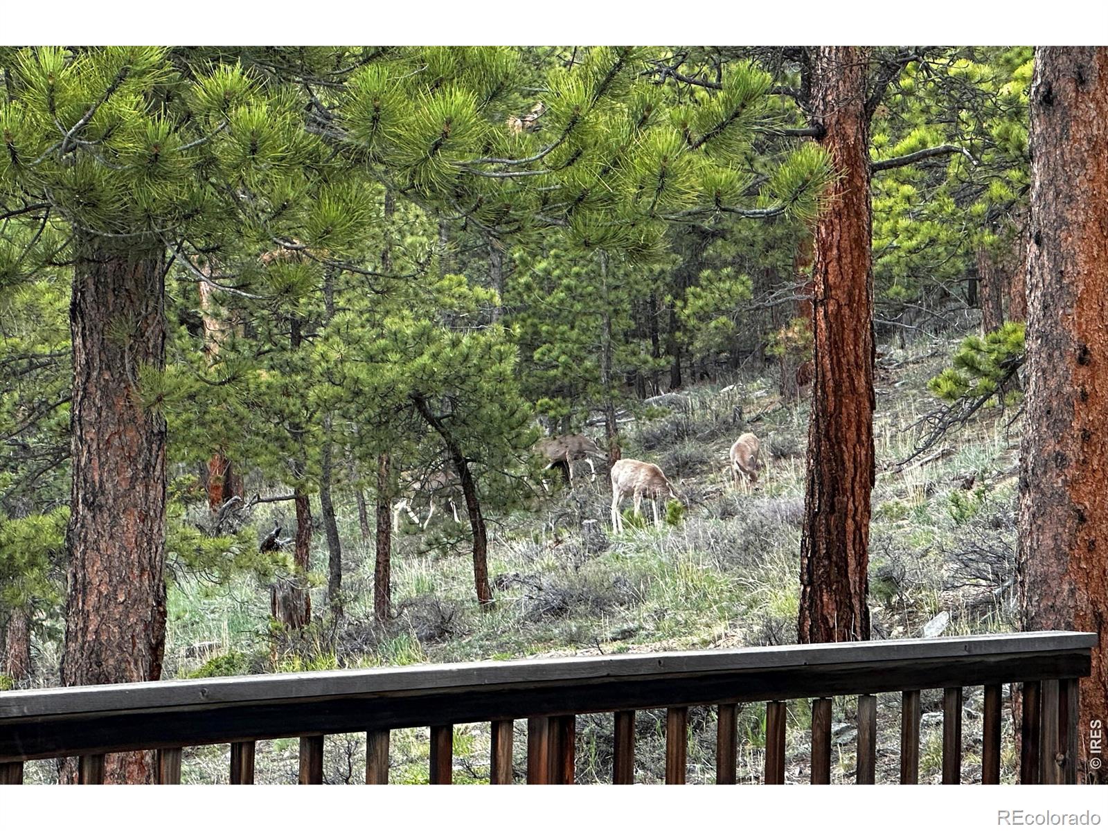 18673 State Highway 7 Lyons CO 80540
