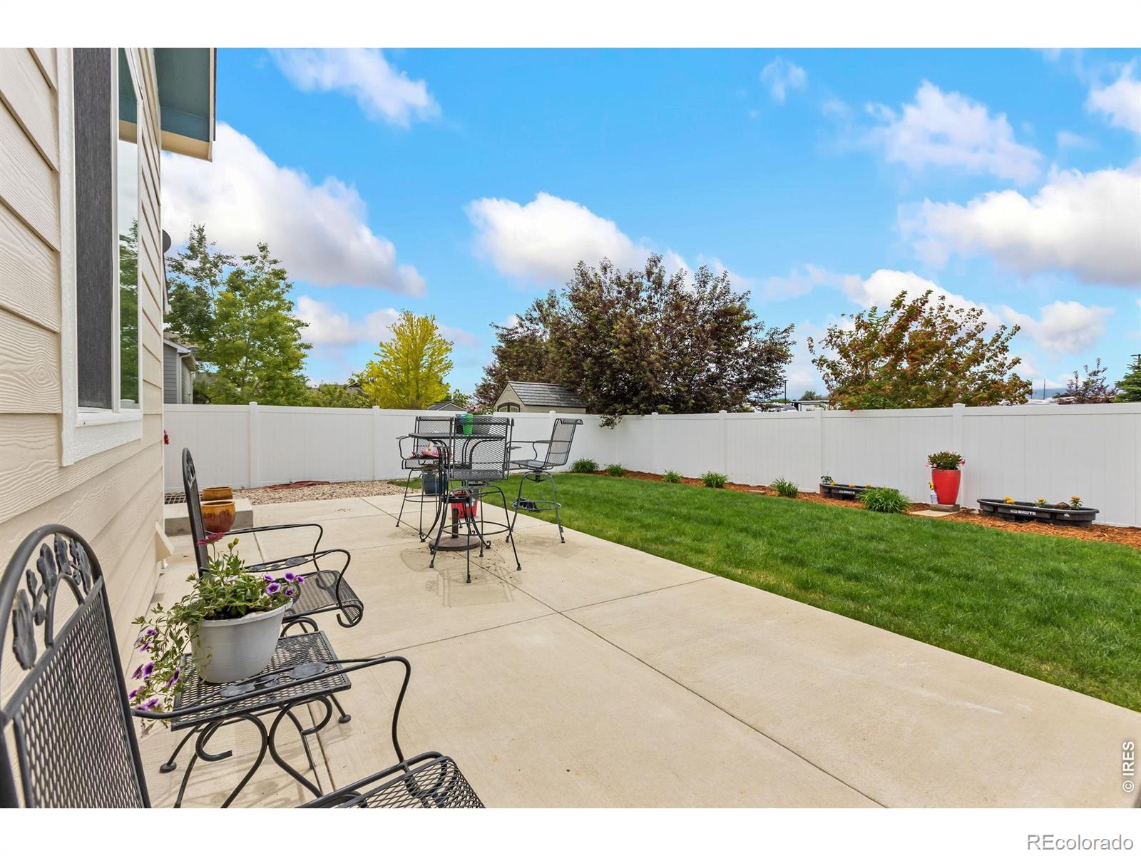 981 Antila Avenue Loveland CO 80537