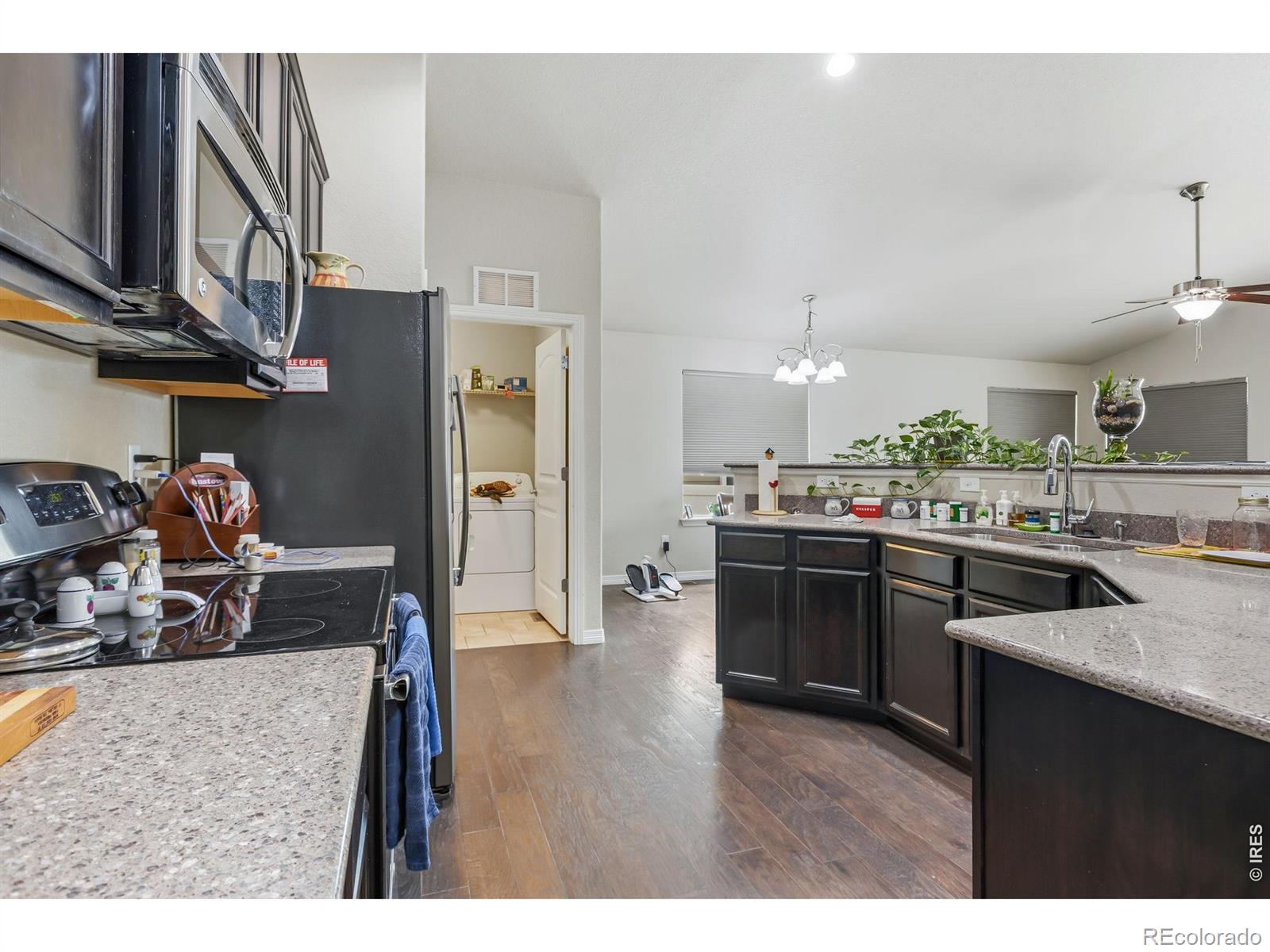 981 Antila Avenue Loveland CO 80537