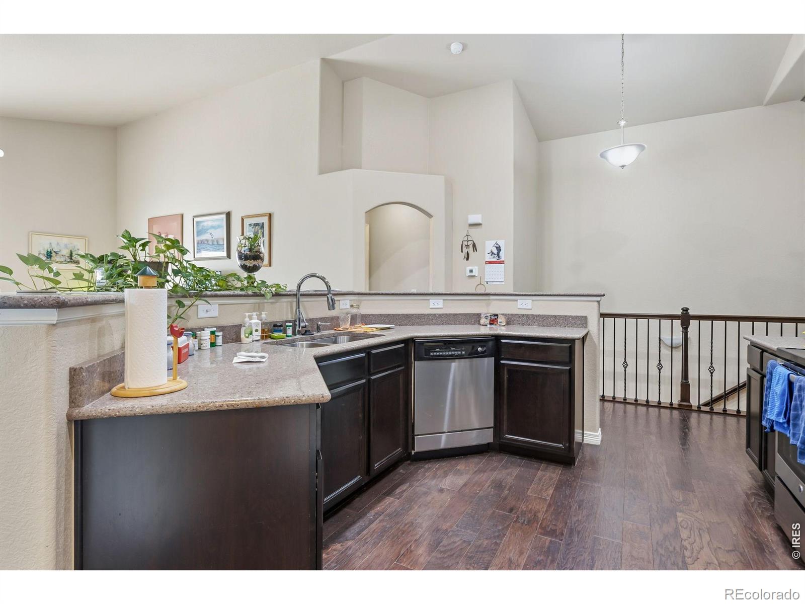981 Antila Avenue Loveland CO 80537