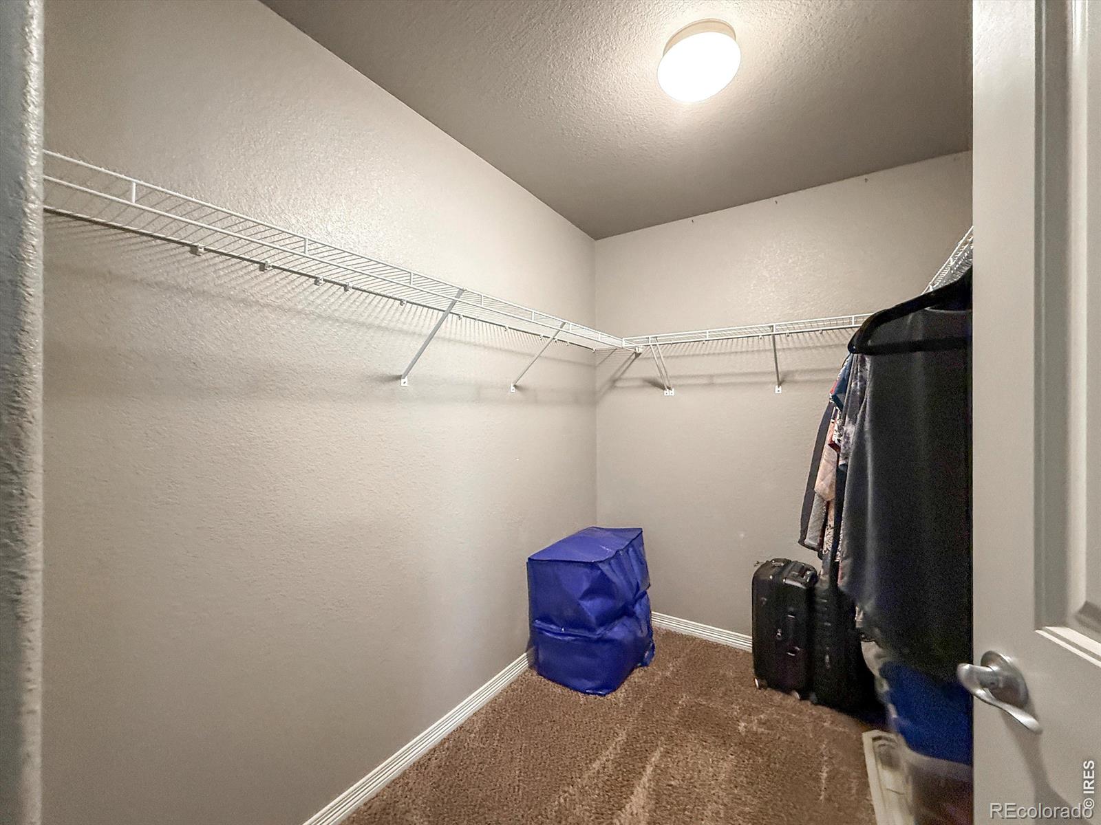 902 Canyonlands Street Berthoud CO 80513