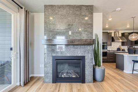 13757 Daffodil Point Parker CO 80134