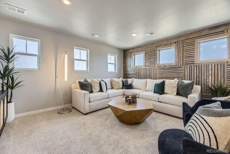 13757 Daffodil Point Parker CO 80134