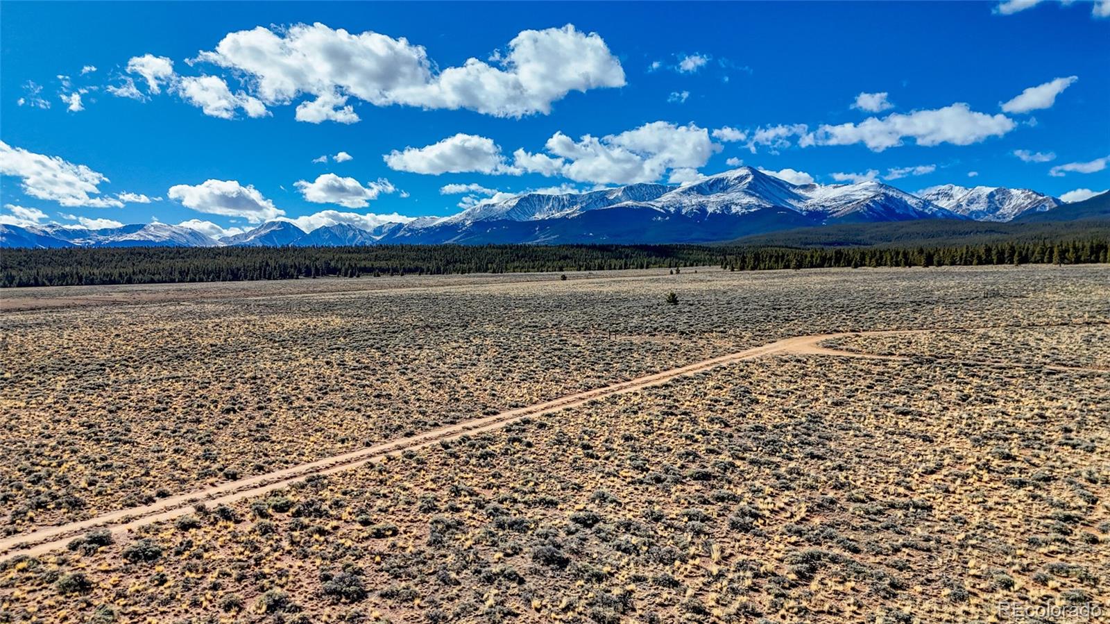 15 County Road 10 Leadville CO 80461