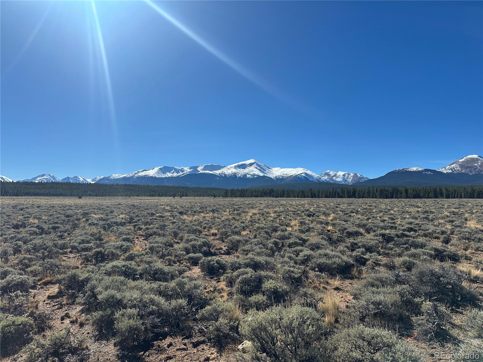 15 County Road 10 Leadville CO 80461