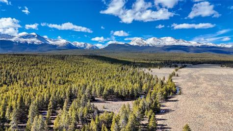 15 County Road 10 Leadville CO 80461