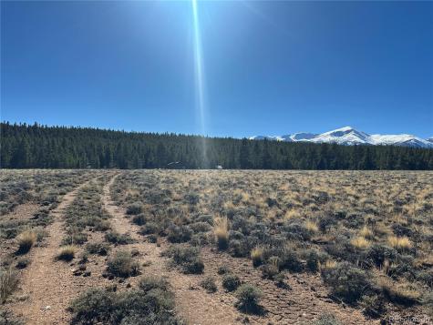 15 County Road 10 Leadville CO 80461