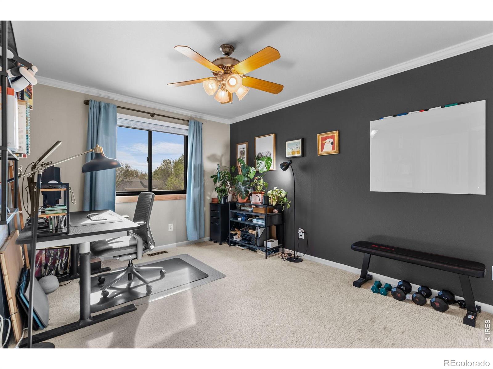 324 Spring Snow Drive Loveland CO 80538