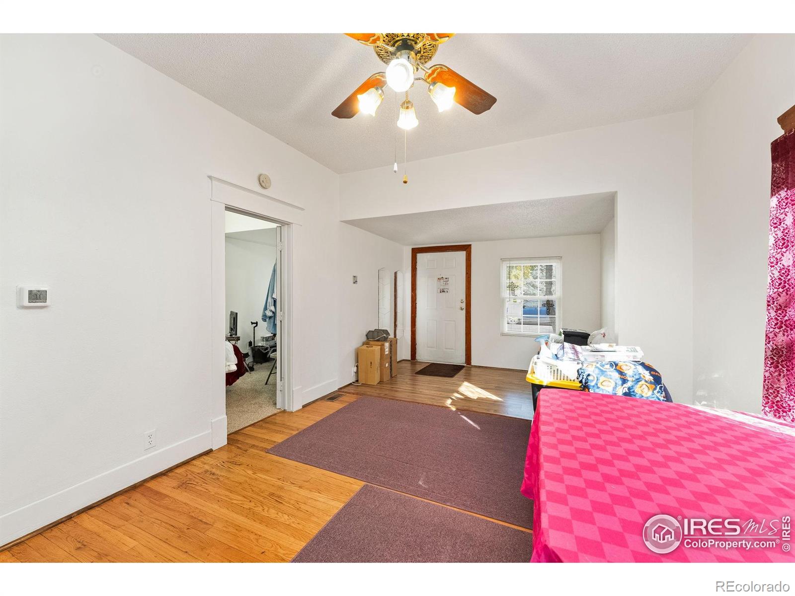 113 S Frances Avenue Milliken CO 80543