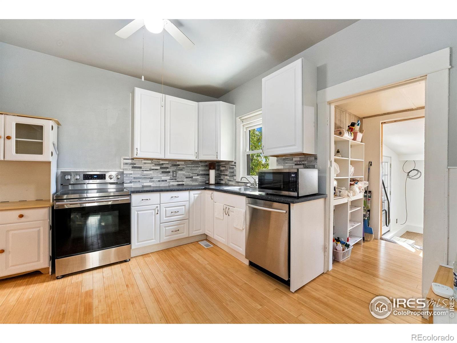 113 S Frances Avenue Milliken CO 80543