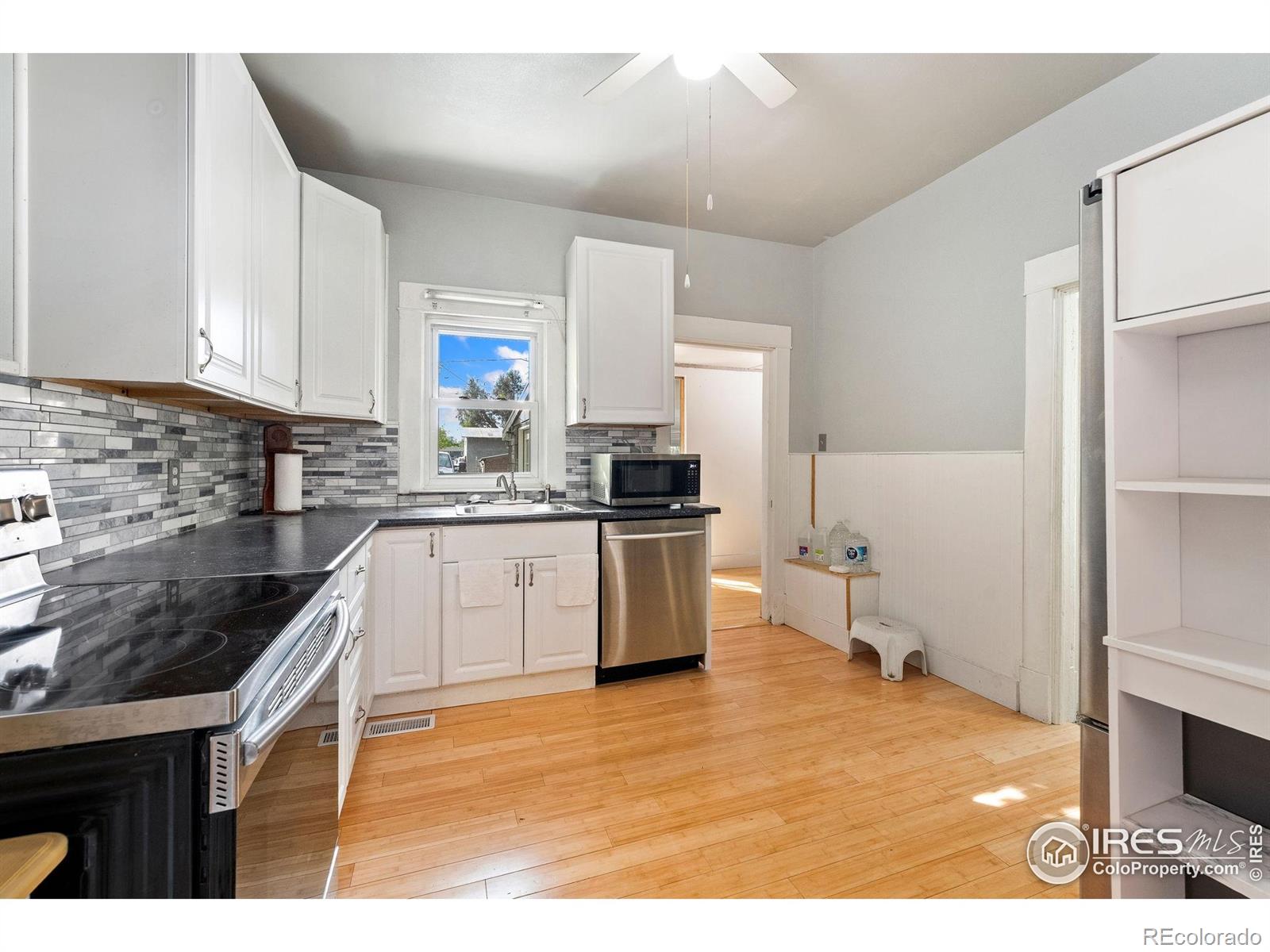 113 S Frances Avenue Milliken CO 80543