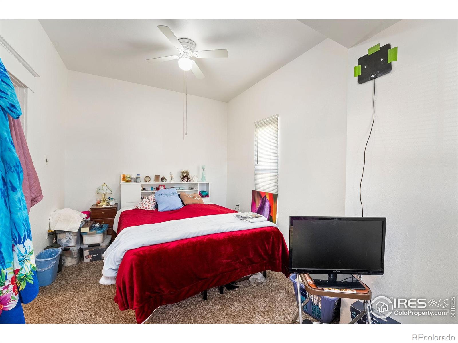 113 S Frances Avenue Milliken CO 80543