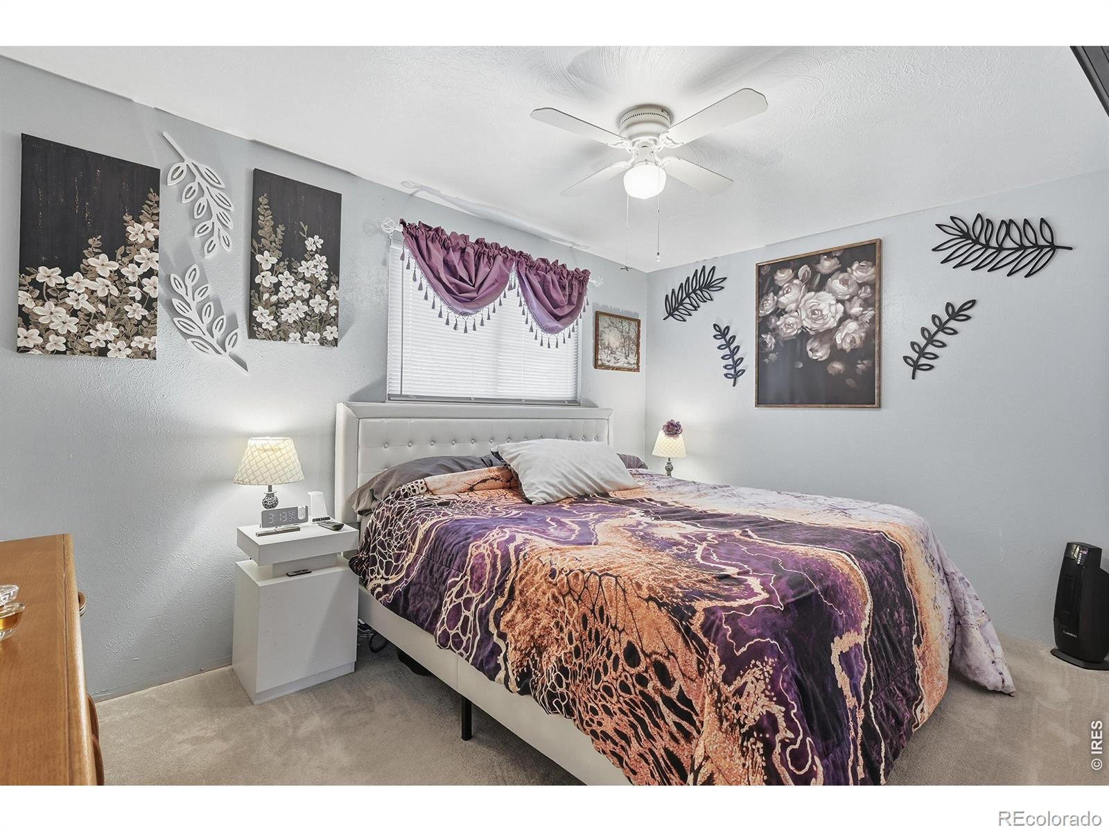 8 Elizabeth Court Longmont CO 80501
