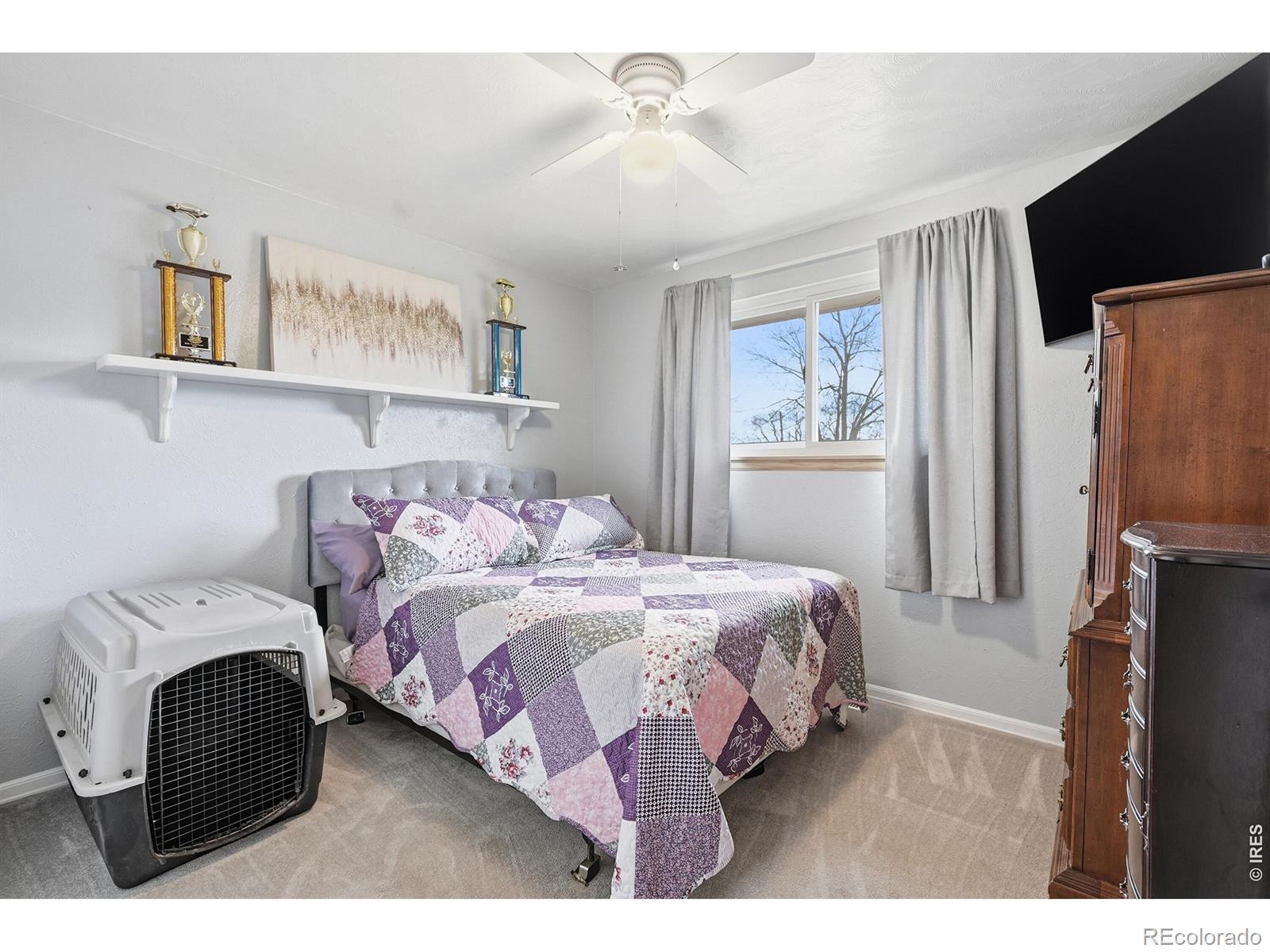 8 Elizabeth Court Longmont CO 80501