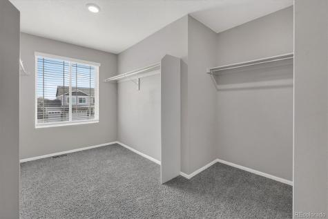 2018 Bouquet Drive Windsor CO 80550