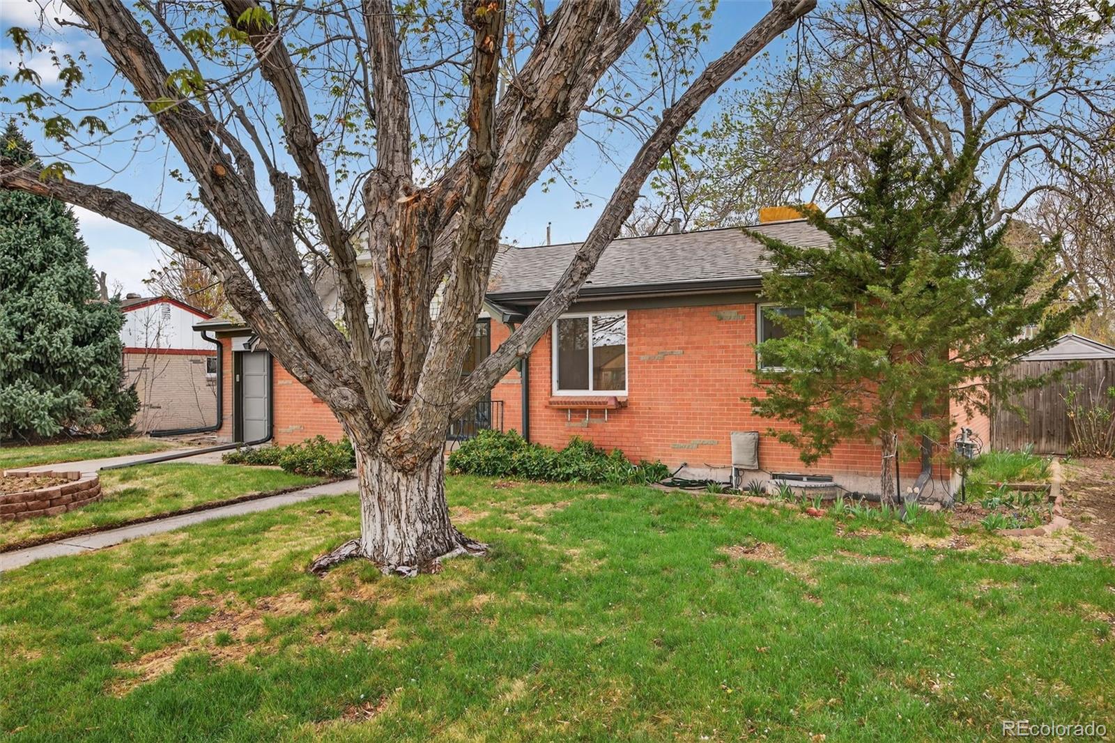 141 S Reed Street Lakewood CO 80226