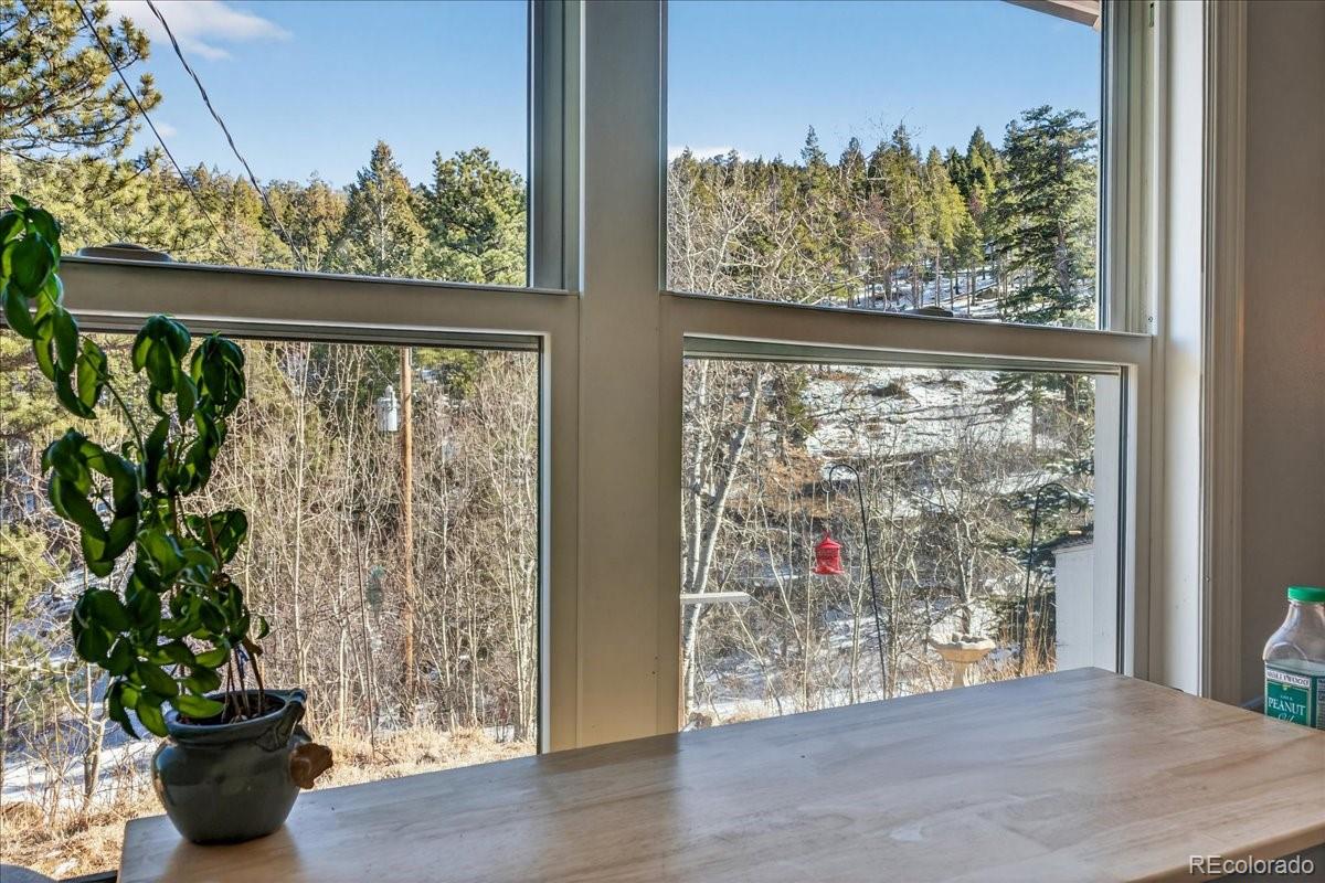 11827 Brook Road Golden CO 80403