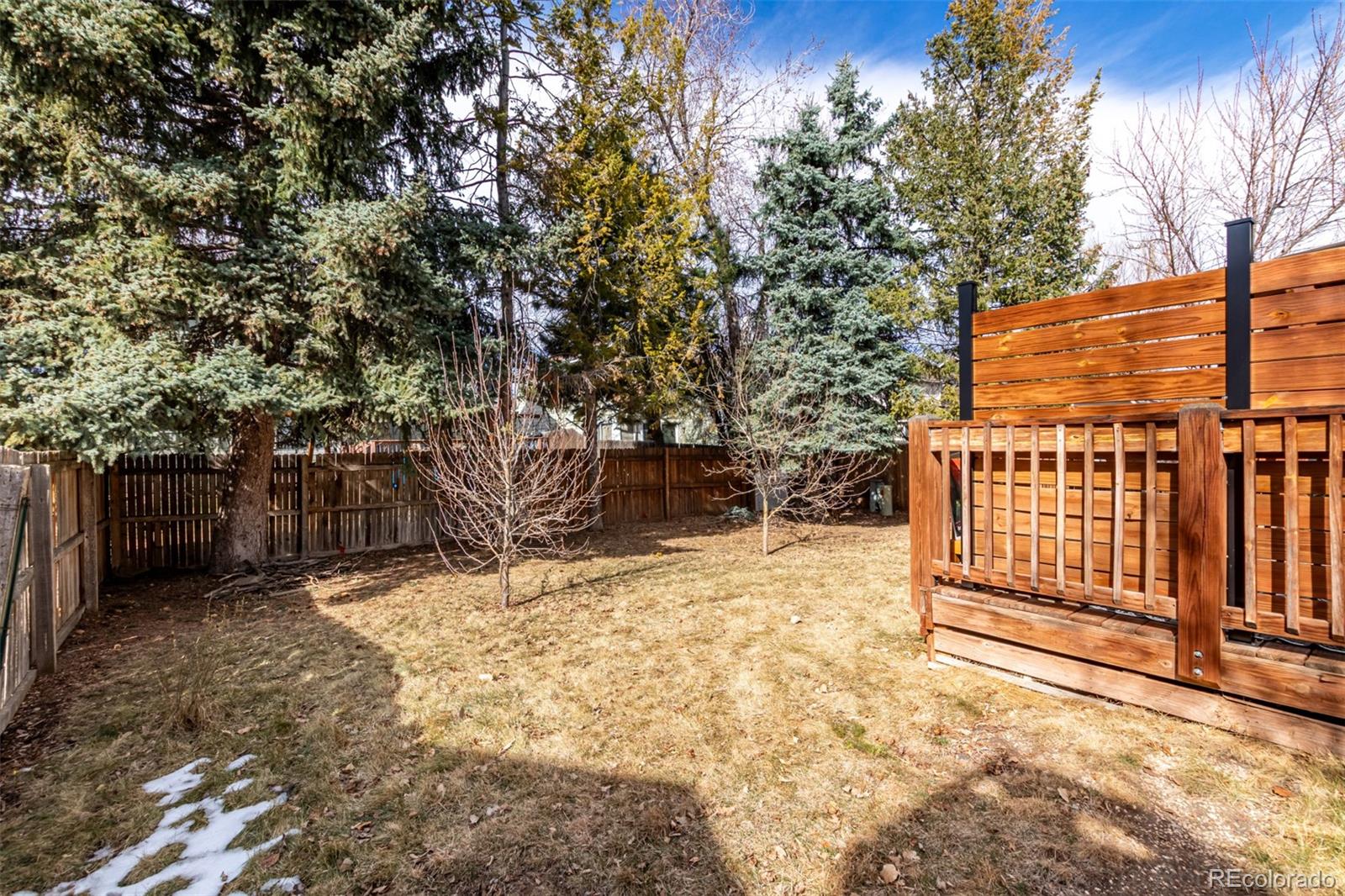 119 S Pembrook Street Castle Rock CO 80104
