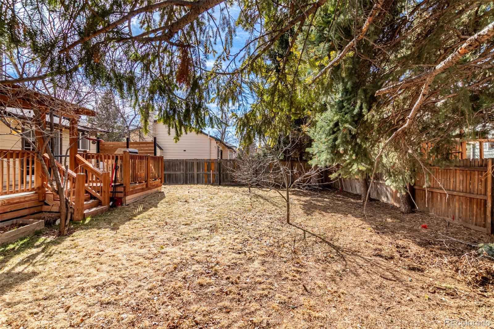 119 S Pembrook Street Castle Rock CO 80104