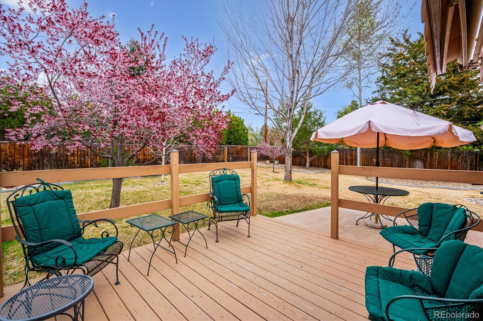 8329 S Allison Street Littleton CO 80128