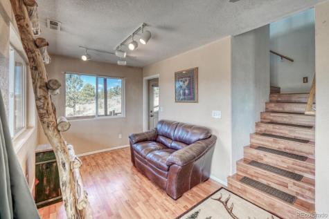 229 Ladigo Lane Hartsel CO 80449
