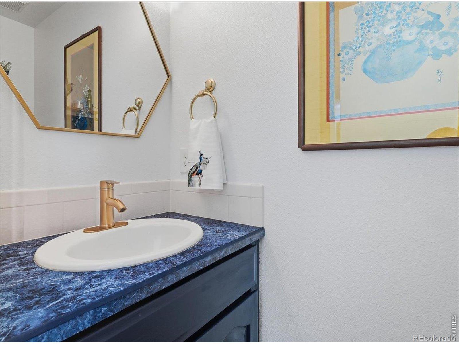 3846 Cardiff Court Loveland CO 80538
