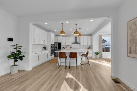 5230 Ditmars Lane Castle Rock CO 80104