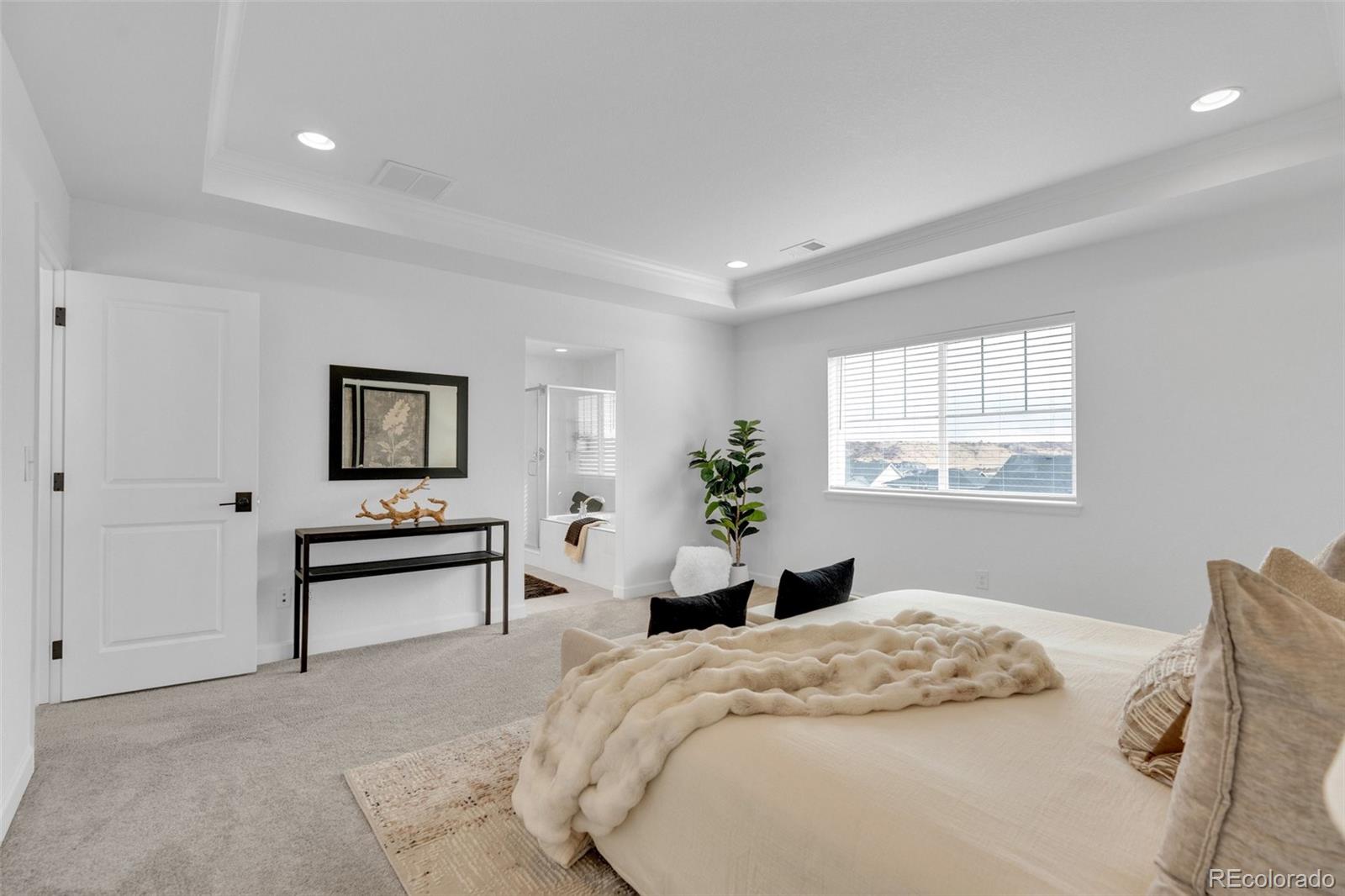 5230 Ditmars Lane Castle Rock CO 80104
