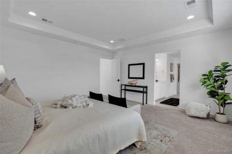 5230 Ditmars Lane Castle Rock CO 80104