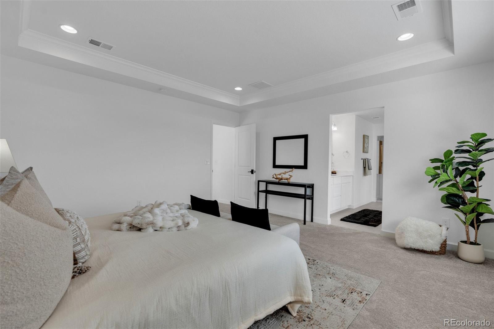 5230 Ditmars Lane Castle Rock CO 80104
