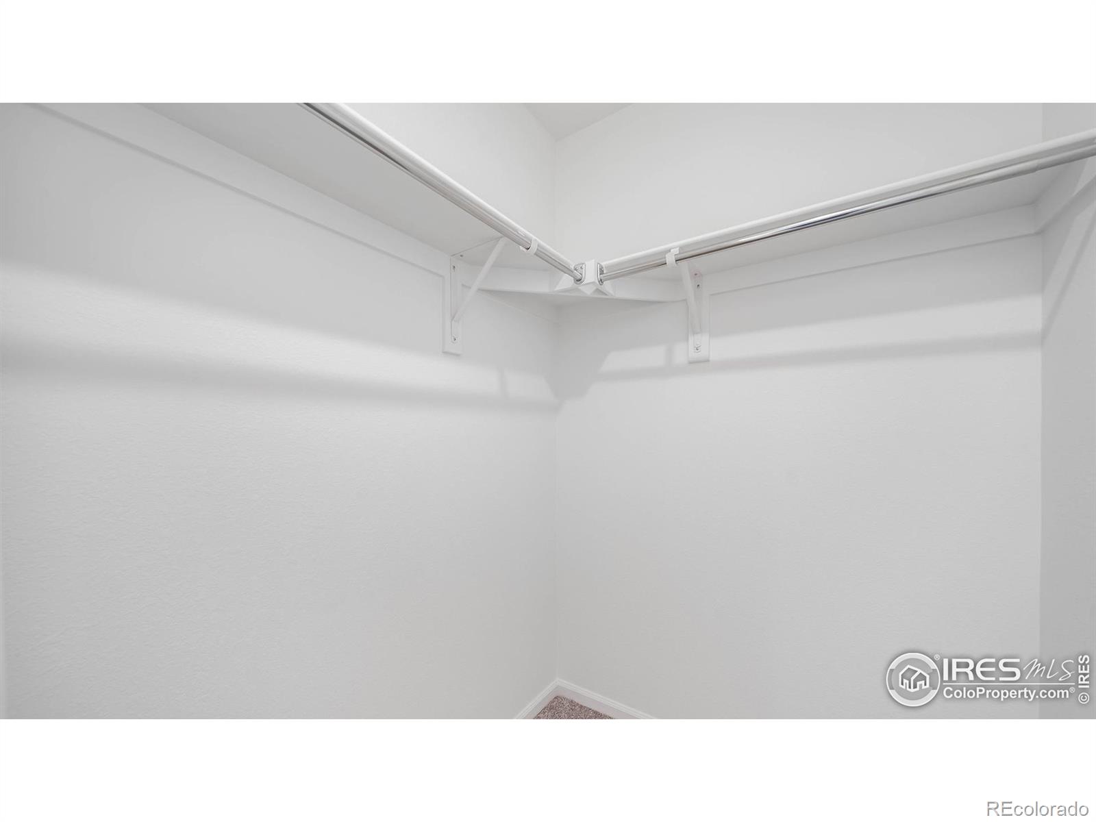 3393 Pearwood Drive Johnstown CO 80534